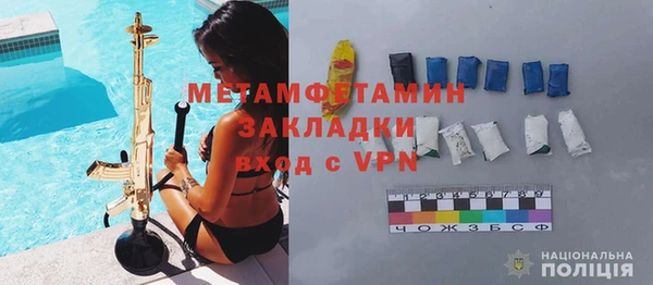 прущие грибы Богданович