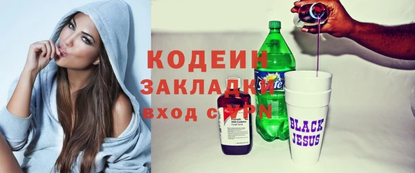 шишки Белоозёрский