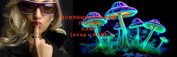 ПСИЛОЦИБИНОВЫЕ ГРИБЫ Белокуриха