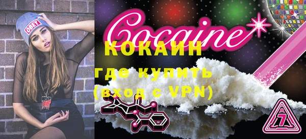 шишки Белоозёрский
