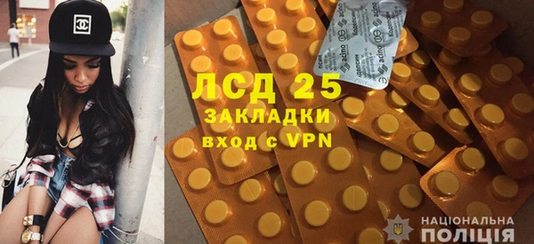 шишки Белоозёрский