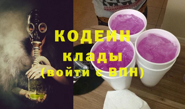шишки Белоозёрский