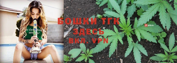 ПСИЛОЦИБИНОВЫЕ ГРИБЫ Белокуриха