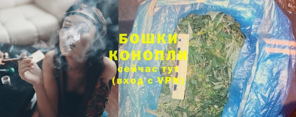 ПСИЛОЦИБИНОВЫЕ ГРИБЫ Белокуриха