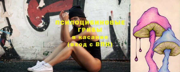 ешки Беломорск
